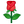 /-rose